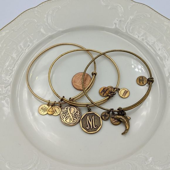 Alex and Ani Rafaleian Silver Set of 3 Bracelets - Picture 6 of 10